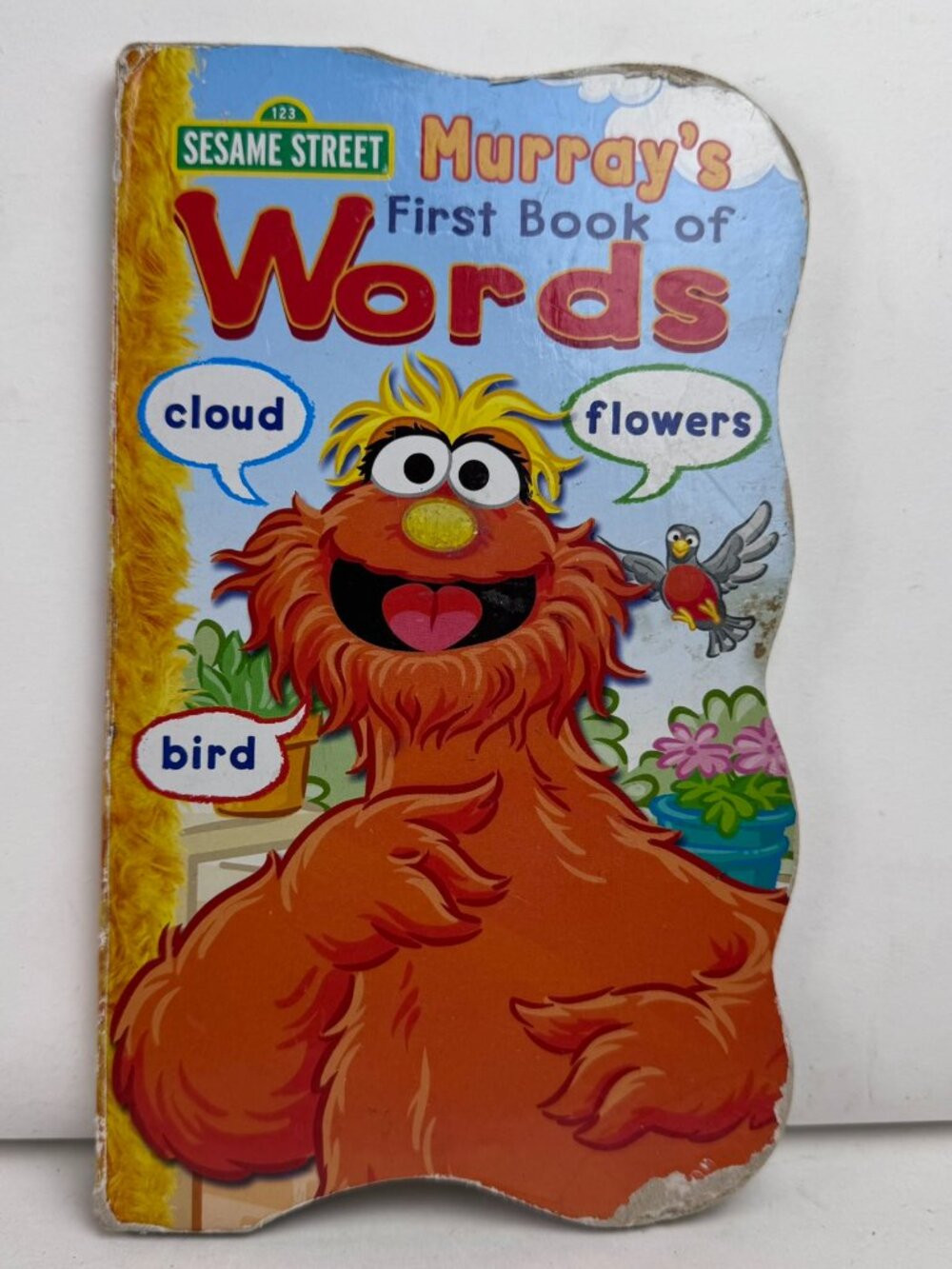 Sesame Street Murray’s First Book of Words Board Book 2010 ISBN 9781593944513